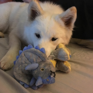 042717 Kanani