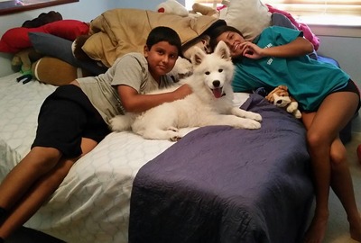 063016 Toby bed
