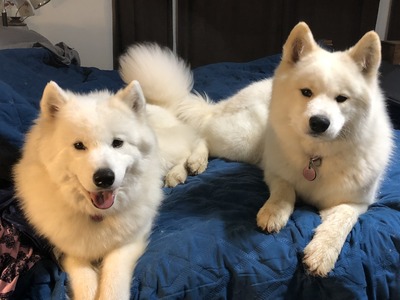 Mahea & Hokulani 5/7/18