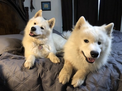 Hokulani & Keala 5/21/18