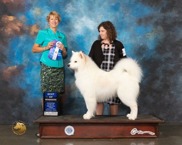 Nico BOW SCH Specialty July 2021